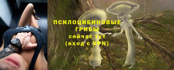 дмт Беломорск