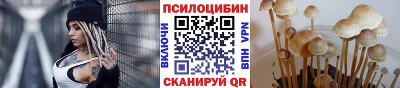 Псилоцибиновые грибы прущие грибы  блэк спрут зеркало  Фурманов 